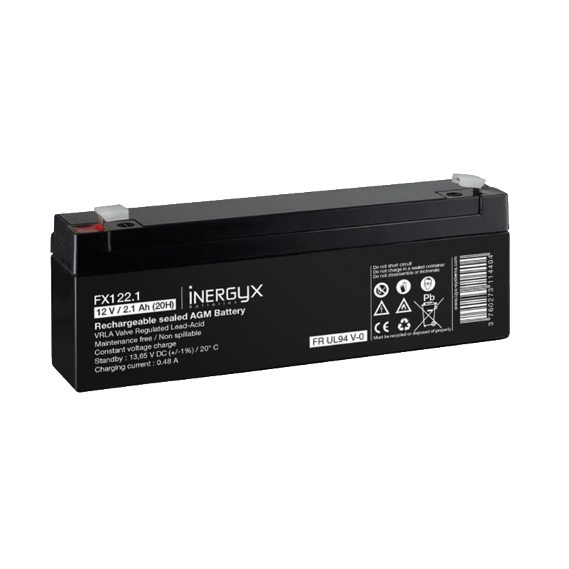 Batteries rechargeables VRLA 12 V - Inergyx Izyx - Accor Solutions