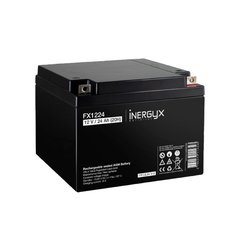 Batteries rechargeables VRLA 12 V - Inergyx Izyx - Accor Solutions